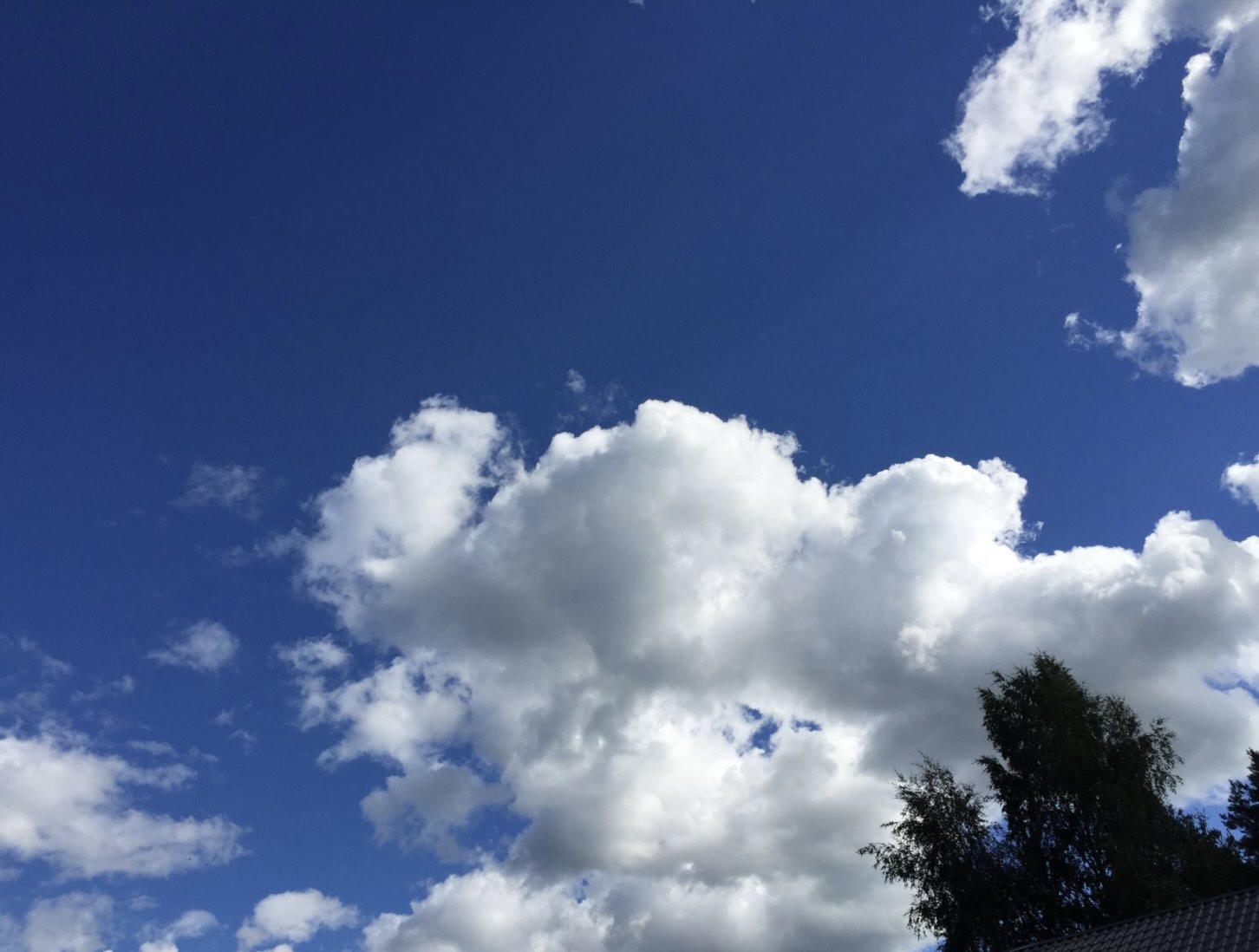 On Joy of Creation and AI